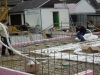 dscn1475
